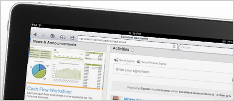 Socialtext 5.0 on an iPad